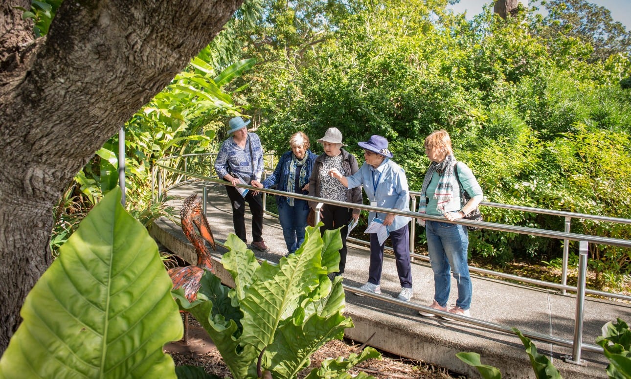 Free guided tours - Brisbane Botanic Gardens Mt Coot-tha